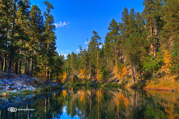 AUTUMN COLOR IN CUSTER STATE PARK