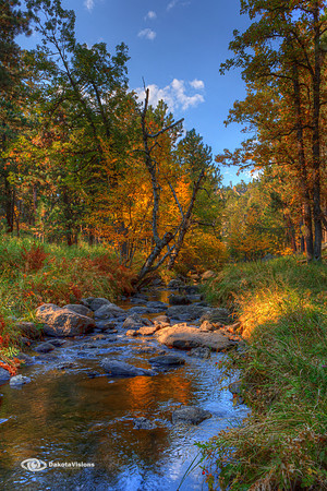 AUTUMN IN GRACE COOLIDGE WALK-IN FISHING AREA